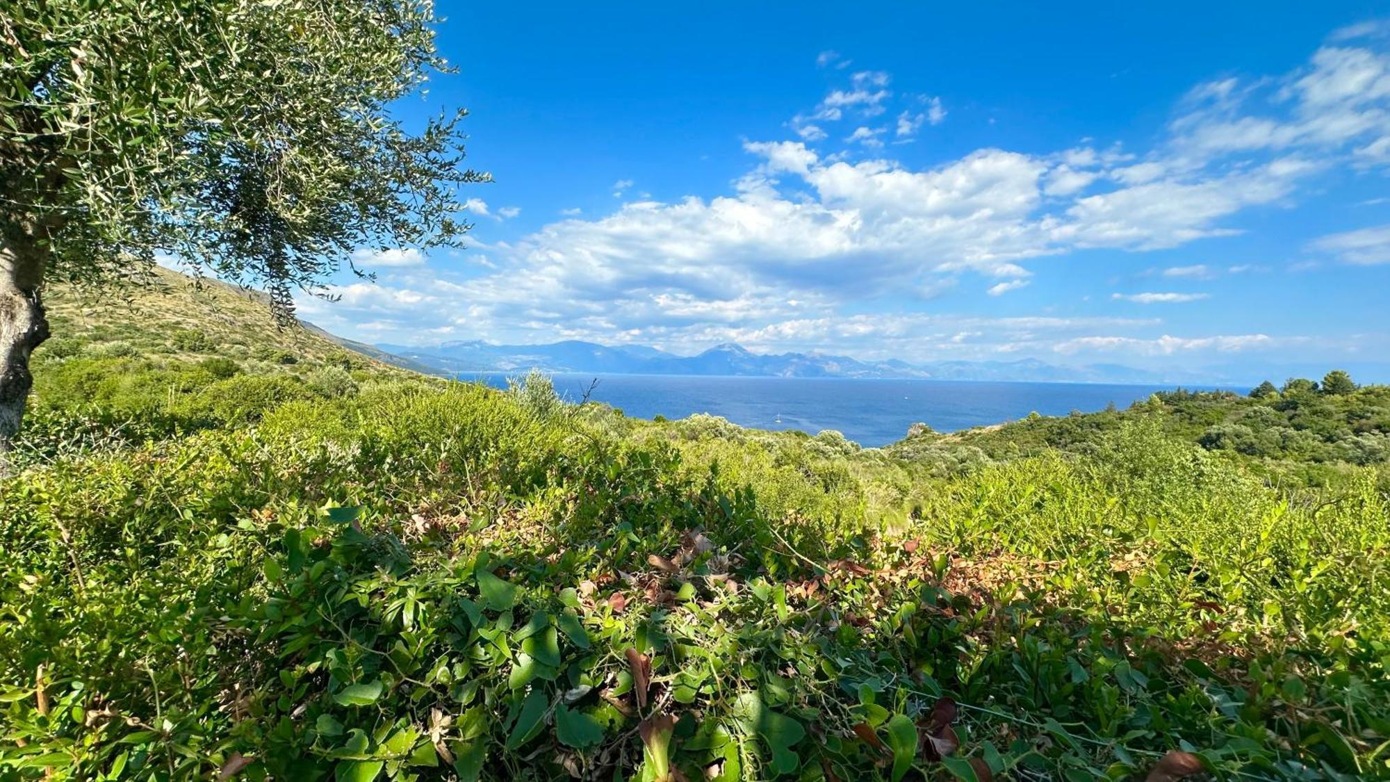 La Casa Di Paolo Casa Di Charme Hotell Marina di Camerota Exteriör bild