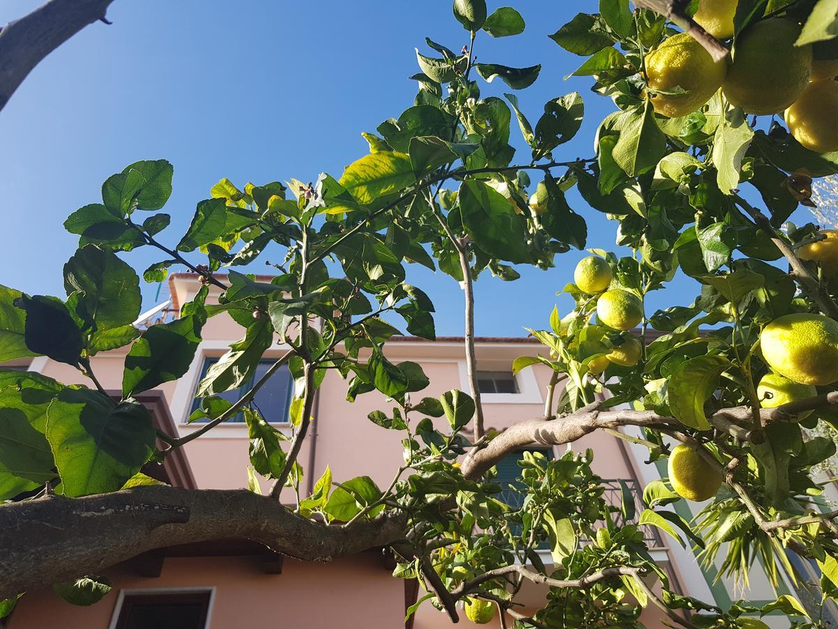 La Casa Di Paolo Casa Di Charme Hotell Marina di Camerota Exteriör bild
